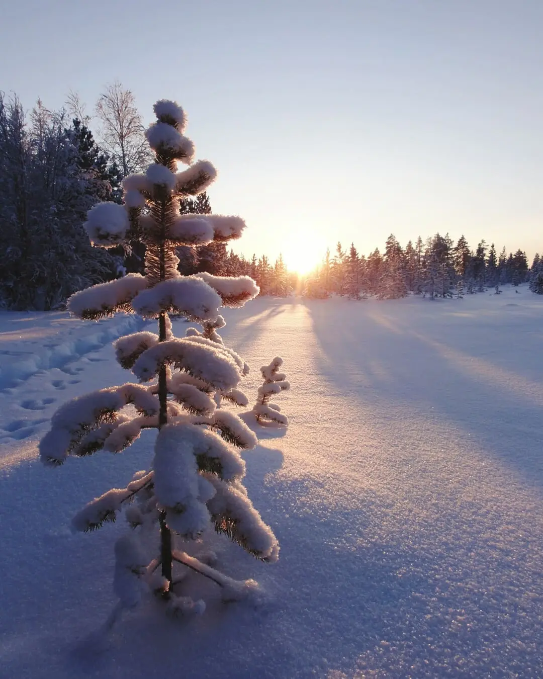 Passez l’hiver en pleine forme avec Luzyvie